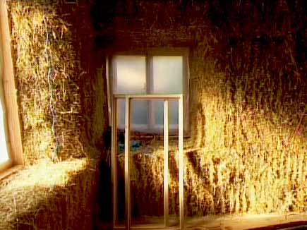 c3657f78_sussex_wood_chay_walls_lg